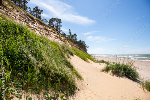 Fototapeta Naklejka Na Ścianę i Meble -  Staldzene steep coast beach at the Baltic sea in June in summer in Ventspils in Latvia