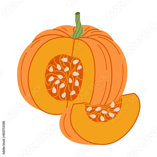 Ripe orange chopped pumpkin. Hand drawn trendy flat style cut pumpkin with wedge and seeds. Organic food, Autumn Harvest, Thanksgiving, halloween concept. Healthy vegetarian menu. Vector illustration