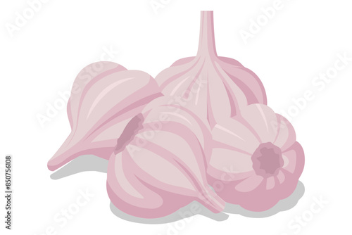 Isometric Garlic bulb . Garlic, pungent and aromatic, is a versatile herb used in various cuisines. Known for its distinct flavor, it enhances dishes and offers potential health benefits