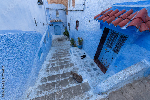 Blue street of Chaouen in Morocco, destiny holidays