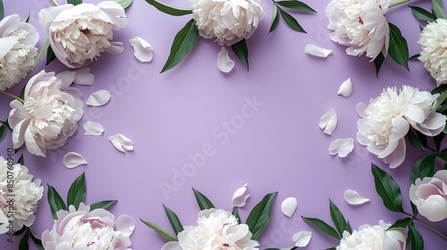 The purple background is surrounded by white peonies, creating an empty space for text or design in the center of the frame. © horizon