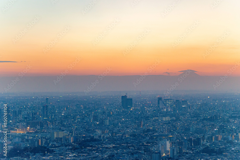 Vue sur la skyline de Tokyo avec le mont Fuji au loin, Ikeburkuro, Tokyo, Kanto, Japon Vue sur la skyline de Tokyo avec le mont Fuji au loin, Ikeburkuro, Tokyo, Kanto, Japon