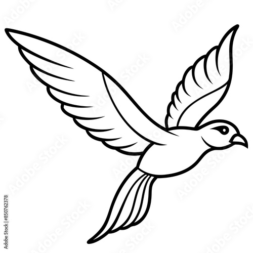 white dove flying