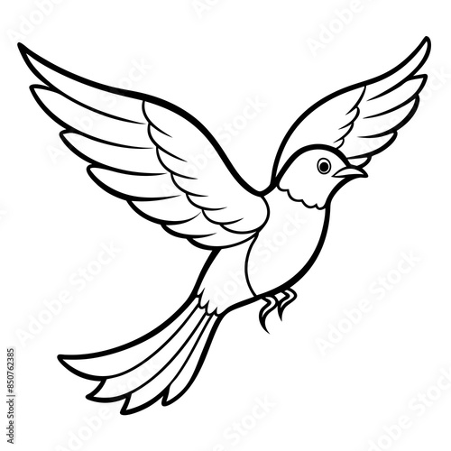 white dove flying