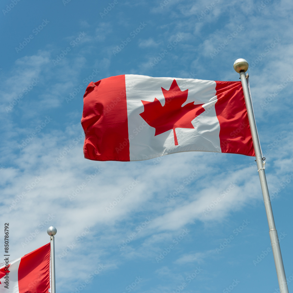 Canadian Maple Leaf flags fluttering in the wind against a blue sky with some clouds Canadian Maple Leaf flags fluttering in the wind against a blue sky with some clouds