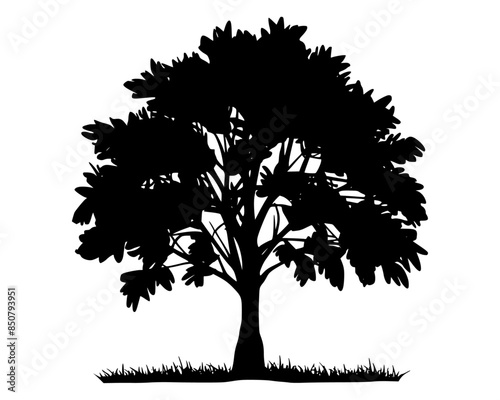 A black silhouette vector tree 