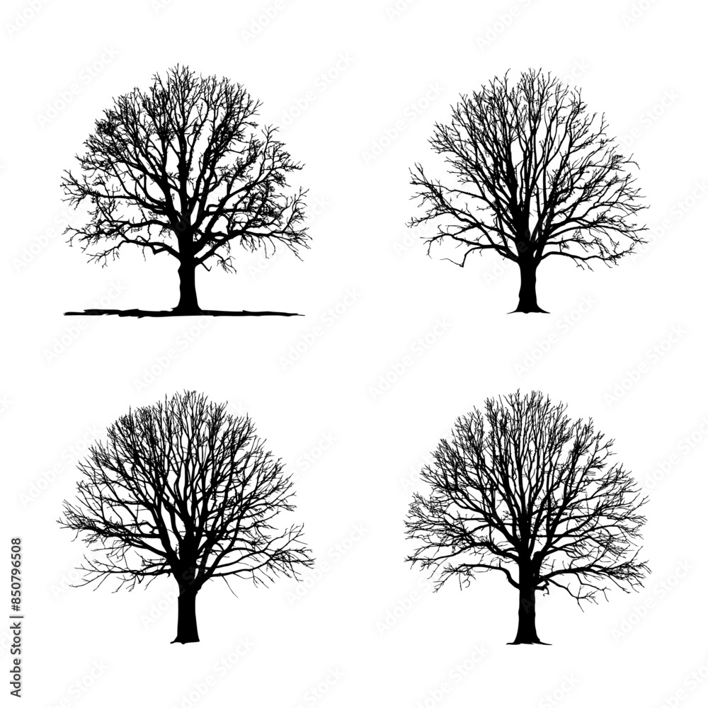 Detailed vector tree silhouettes - Illustration