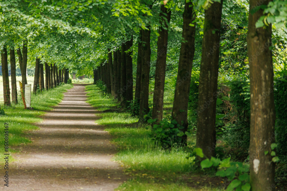 Barokschloss im Emsland