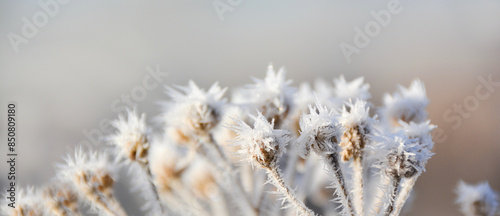 Nature winter background - ...