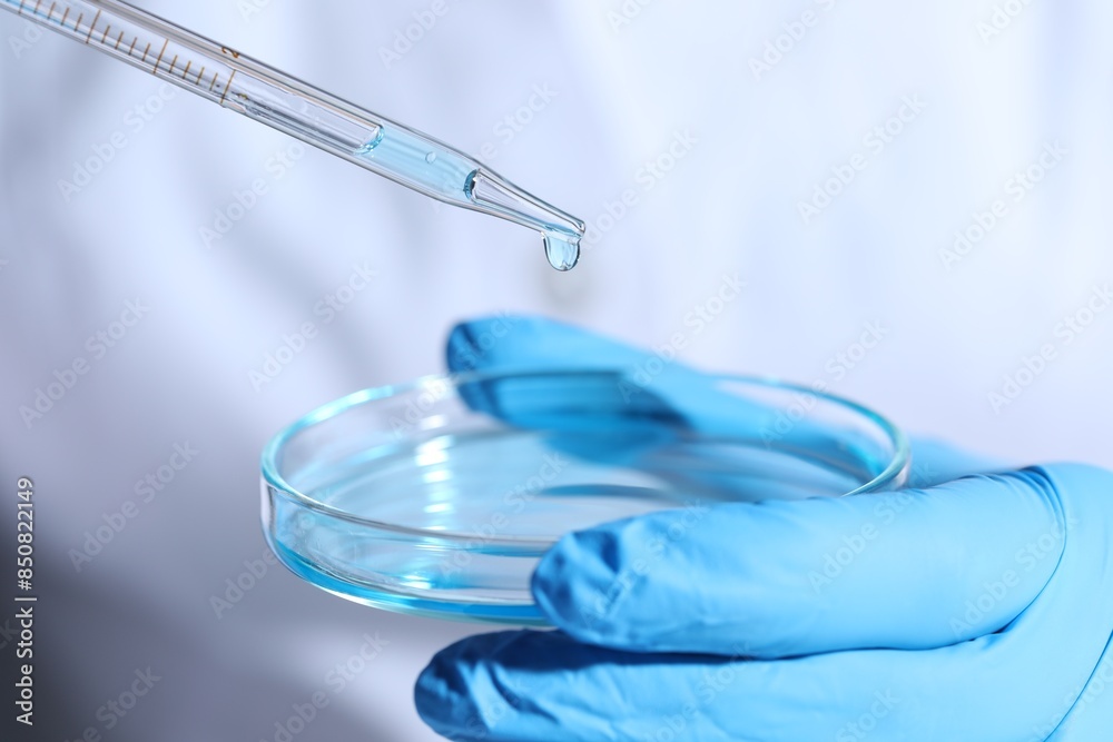 Scientist dripping liquid from pipette into petri dish, closeup Scientist dripping liquid from pipette into petri dish, closeup