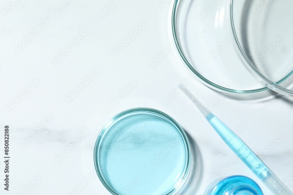 Pipette and petri dishes with liquid on white marble table, flat lay Pipette and petri dishes with liquid on white marble table, flat lay