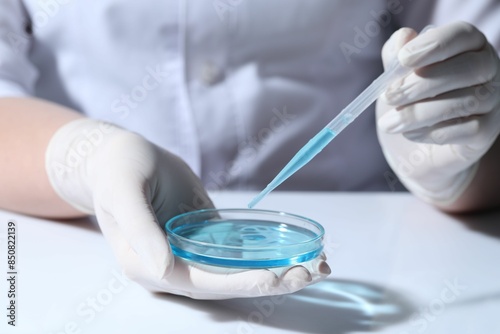 Scientist dripping liquid from pipette into petri dish at white table, closeup © New Africa