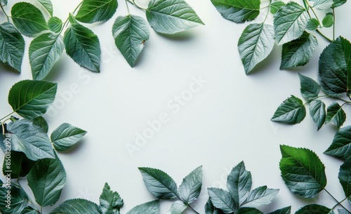 Green Leaves Arranged In A Frame Shape On A White Surface