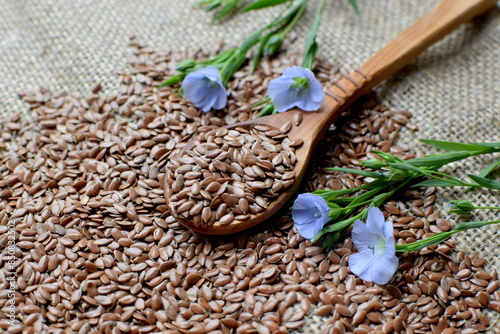 Flax seeds lie in a wooden spoon on rough burlap and blue flax flowers.