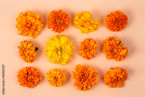 Floral background of marigolds on a beige background. Autumn composition. Flowers for Day of the Dead and Indian holidays. Flat lay