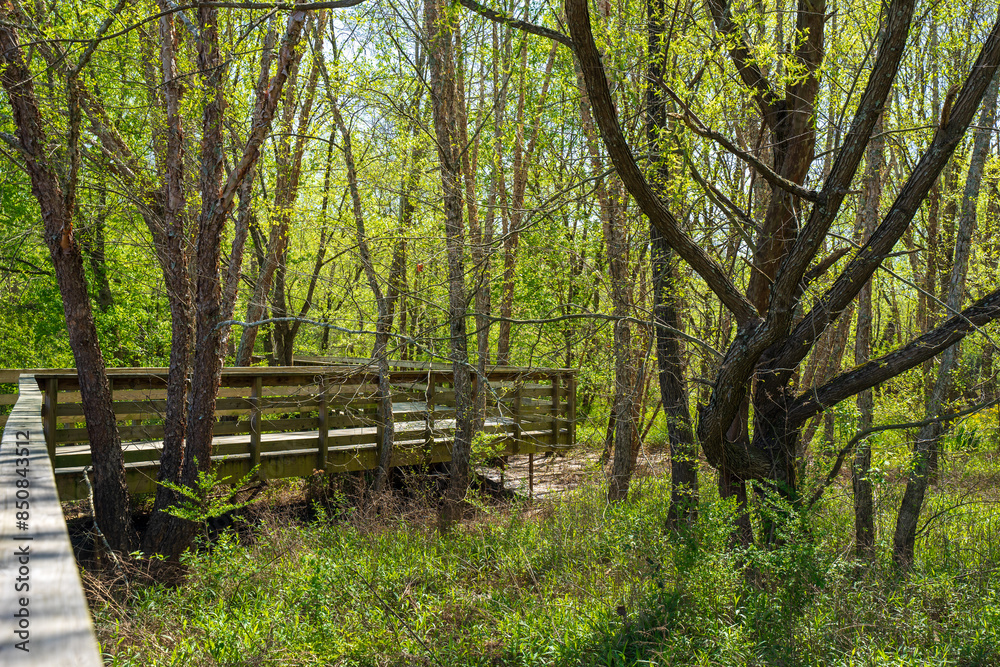 Roswell Riverwalk Boardwalk is a 7-mile off-road path runs along the Chattahoochee River in Roswell, Georgia, north of Fulton County. A walking path along the river. People can walk their pets Roswell Riverwalk Boardwalk is a 7-mile off-road path runs along the Chattahoochee River in Roswell, Georgia, north of Fulton County. A walking path along the river. People can walk their pets