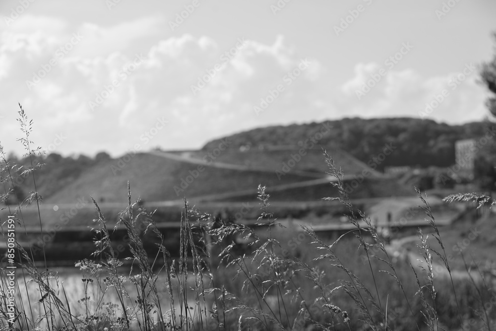 Fototapeta premium tall blades of grass with bison bastion in the background in the lower town of Gdansk in black and white