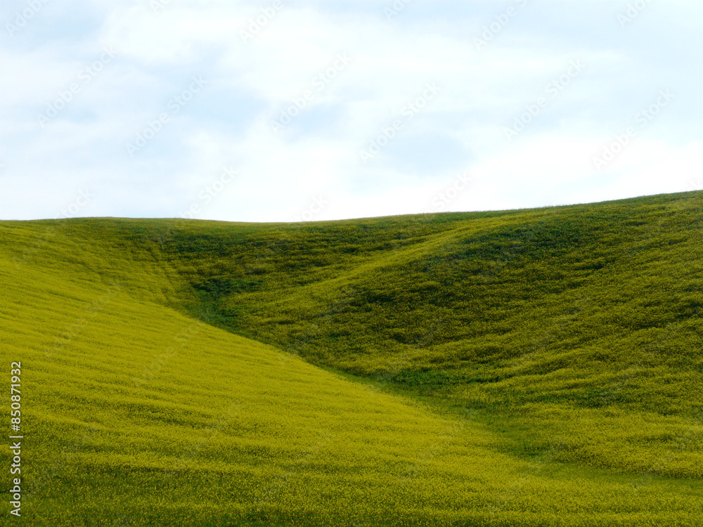 Fototapeta premium Campagna toscana zone fra Firenze e Siena