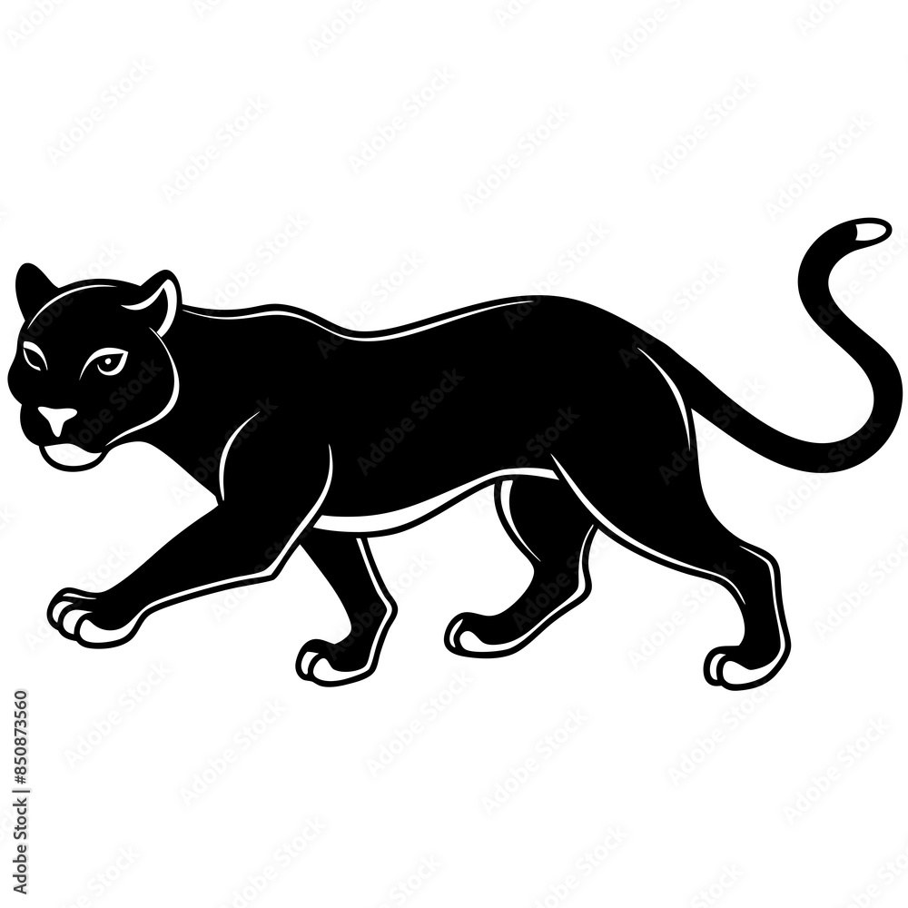 Obraz premium a-black-and-white-panther-animal-running-looking