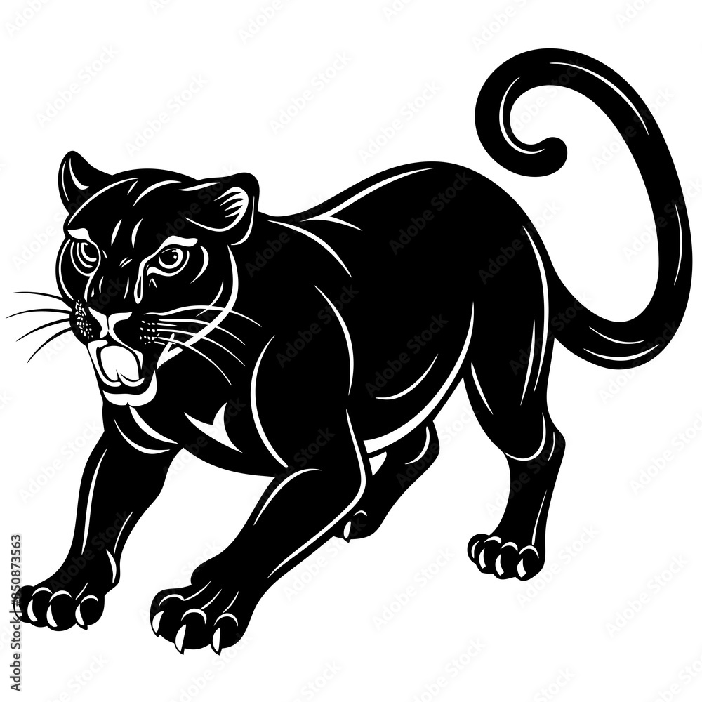 a-black-and-white-panther-animal-running-looking a-black-and-white-panther-animal-running-looking
