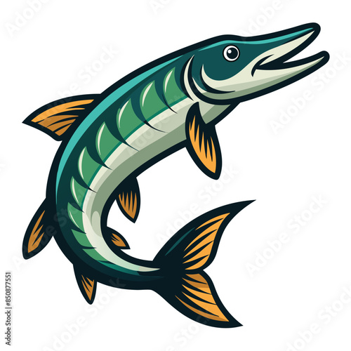 illustration of a muskie fish on white