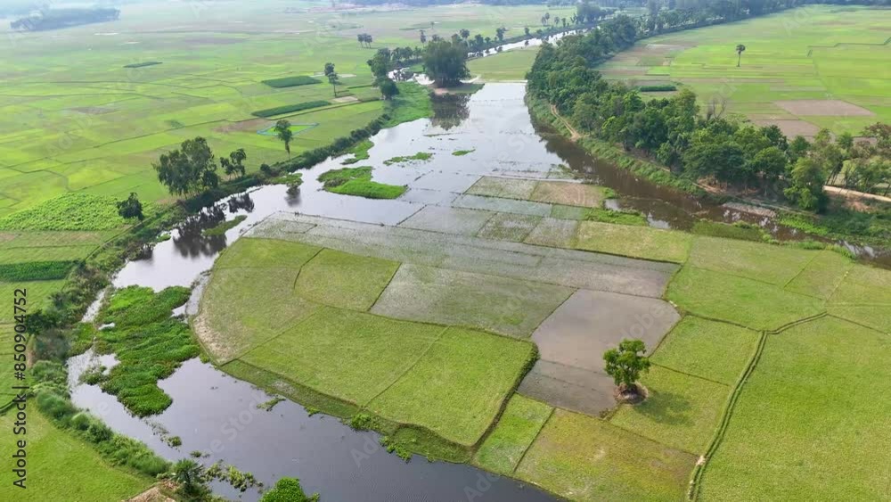 Empty Rice Fields Empty rice fields and river resting after harvest stubble stick from ...