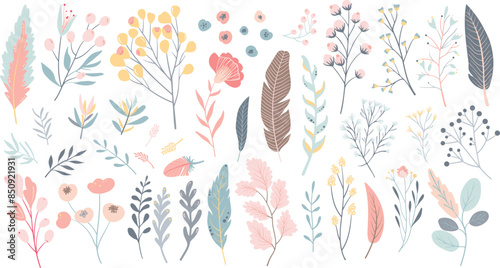 Set of isolated floral illustration with flowers, branches, berries, feathers, leaves and cute elements in simple plain graphic style on transparent background. Light pastel colorful color tone.
