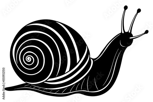 snail line art vector illustration