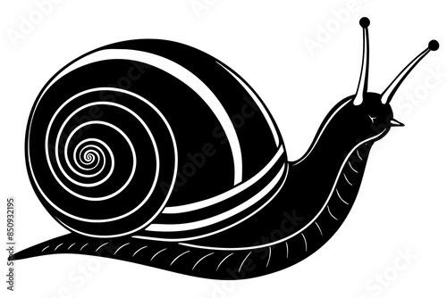 snail line art vector illustration