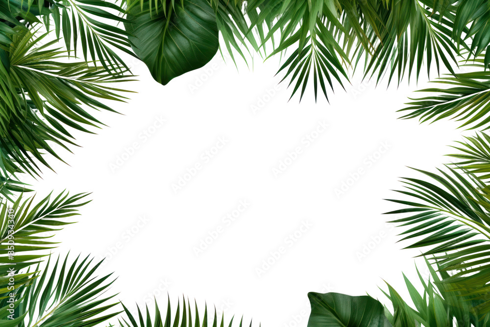 PNG Backgrounds outdoors nature forest transparent background PNG Backgrounds outdoors nature forest transparent background