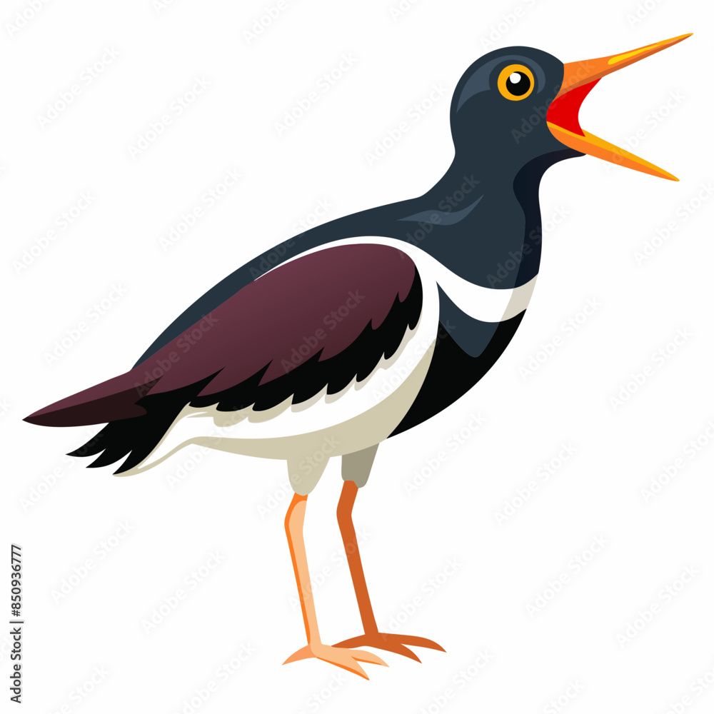 Canarian Oystercatcher bird screams icon vector Canarian Oystercatcher bird screams icon vector