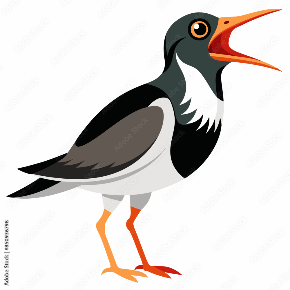 Canarian Oystercatcher bird screams icon vector Canarian Oystercatcher bird screams icon vector