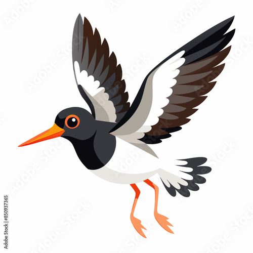 Canarian Oystercatcher bird flies vector kawaii svg file