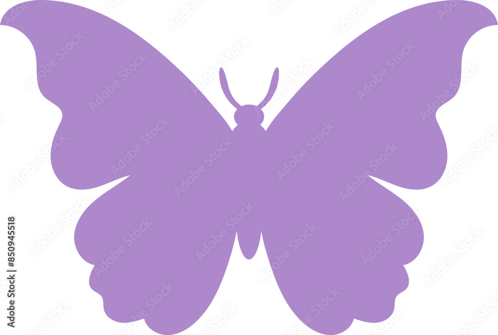 Butterfly Butterfly