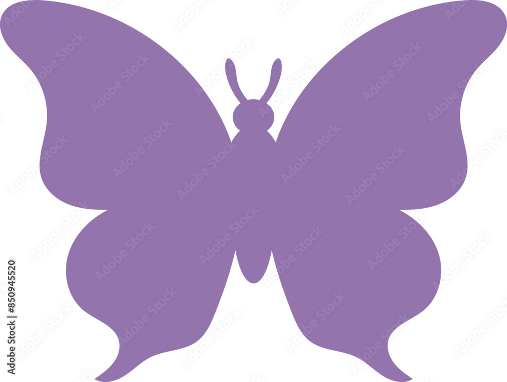 Butterfly Butterfly