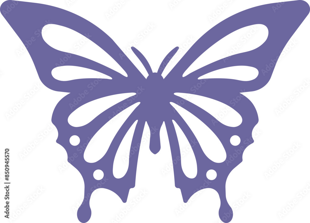 Fototapeta premium Butterfly