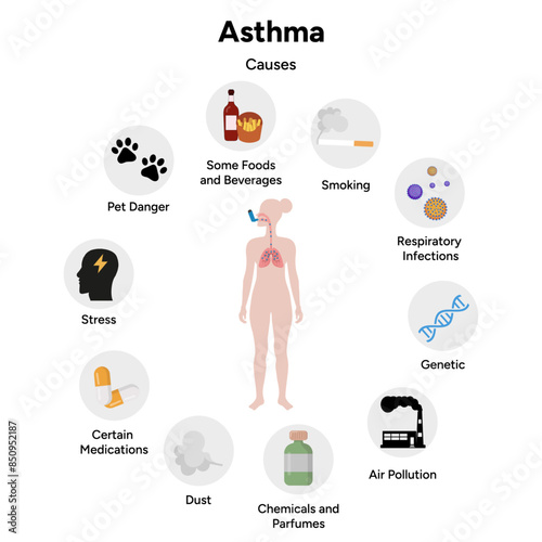 Human Asthma disease and causes