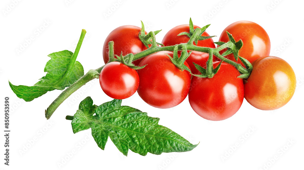 Fresh Tomatoes with green leaves. Tomato vegetables brunch. Vegetable isolated. Organic natural farm grown food harvest. PNG. Fresh Tomatoes with green leaves. Tomato vegetables brunch. Vegetable isolated. Organic natural farm grown food harvest. PNG.