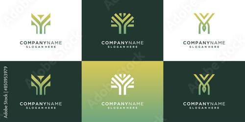 Letter Y logo vector collection. Abstract initials with growth idea illustration template. 