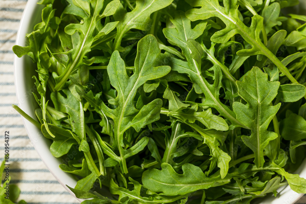 Organic Raw Green Arugula Rocket Organic Raw Green Arugula Rocket