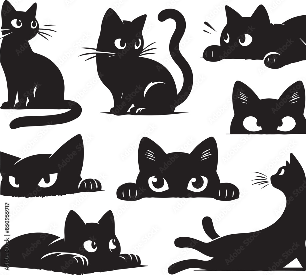 black and white cats set black and white cats set
