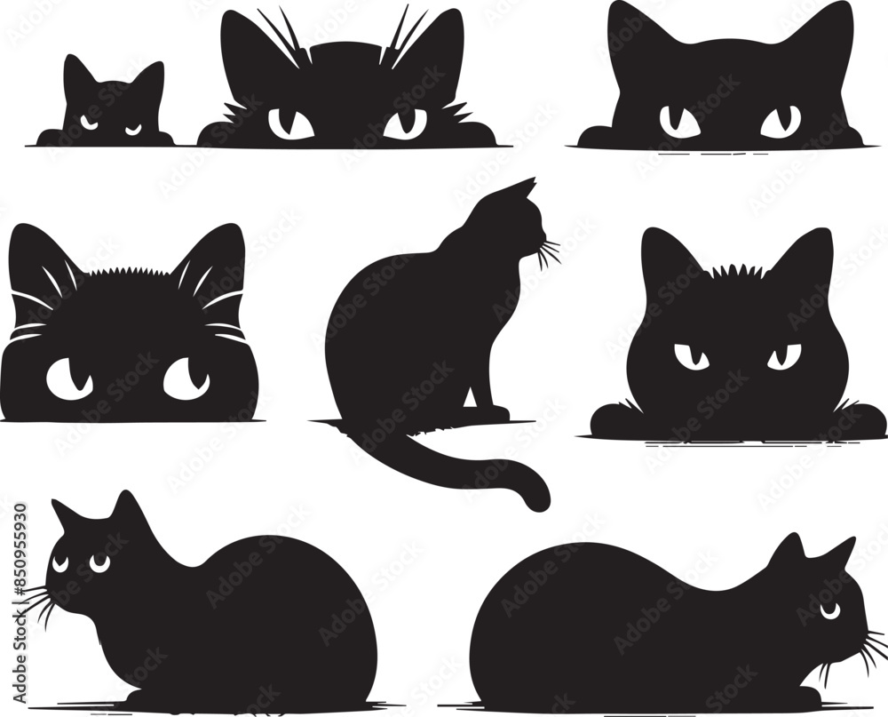 black and white cats set black and white cats set