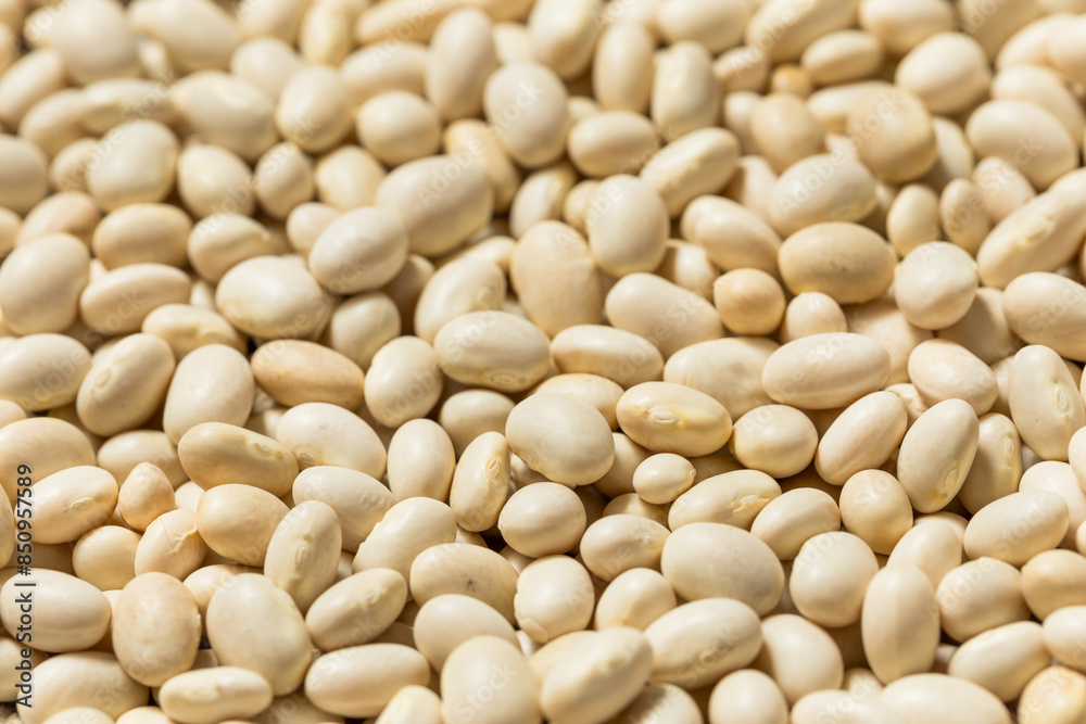 White Organic Raw Navy Beans