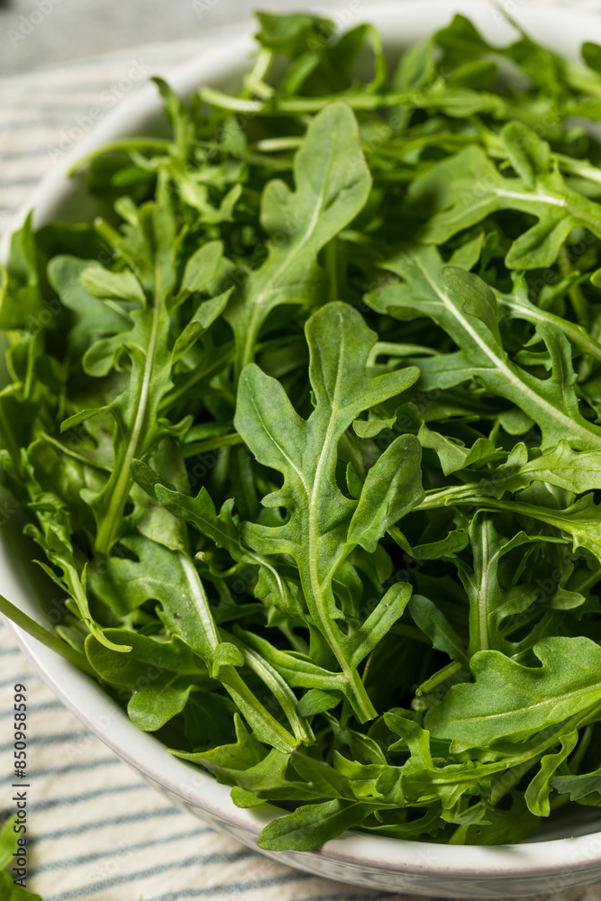 Organic Raw Green Arugula Rocket Organic Raw Green Arugula Rocket