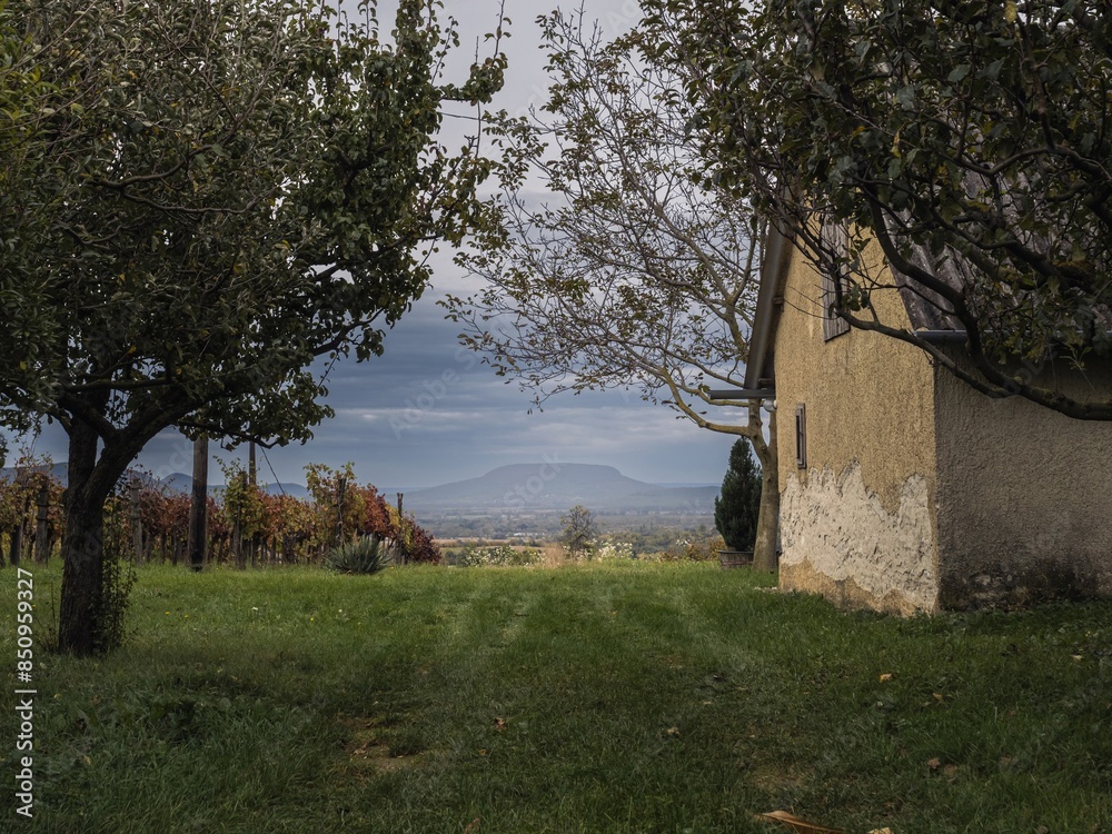 Landscape of vineyards and old building with the Badacsony mountain in the background at sunset in Hungary Landscape of vineyards and old building with the Badacsony mountain in the background at sunset in Hungary