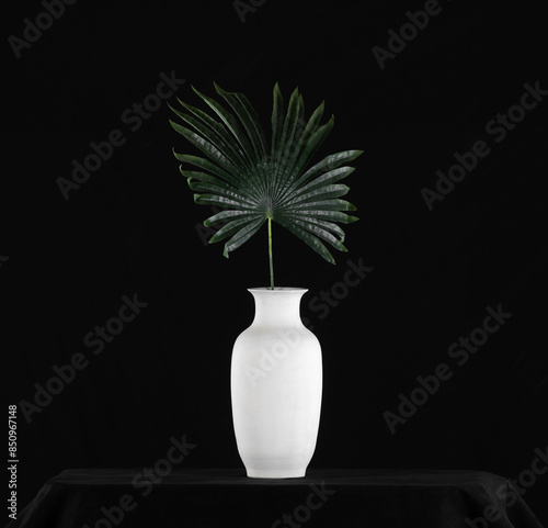 green palm leaves in a white vase on a black background