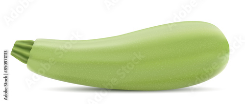 Vector drawing realistic 3d zucchini on white background.