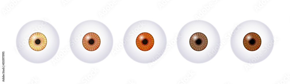 Iris medical poster Iris medical poster