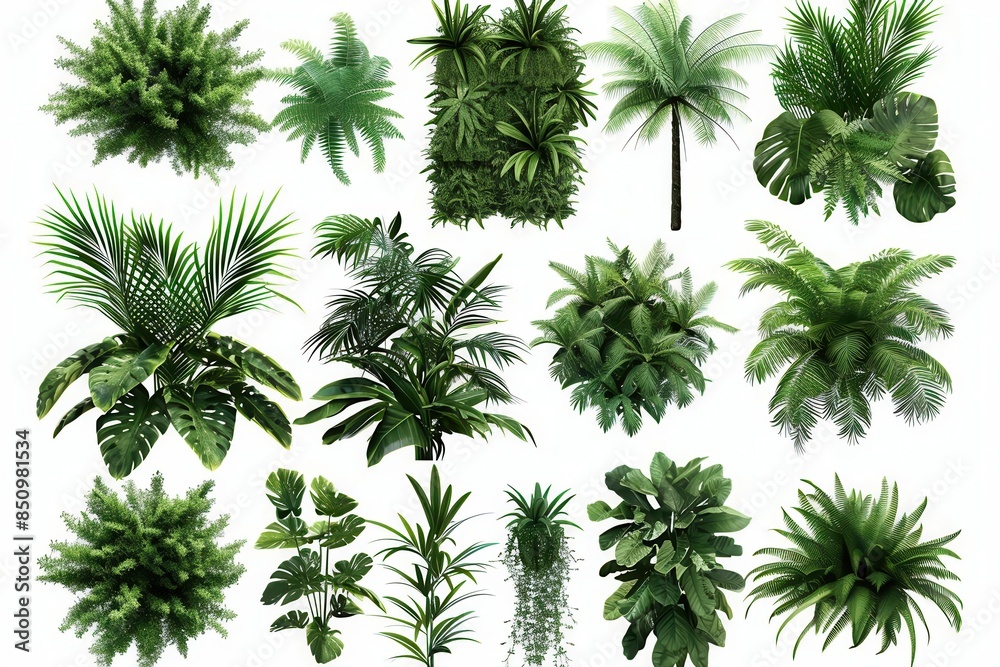 set of green garden walls from tropical plants cut out set of green garden walls from tropical plants cut out