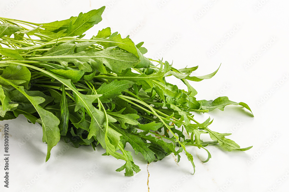 Fresh tasty natural organic rucola Fresh tasty natural organic rucola